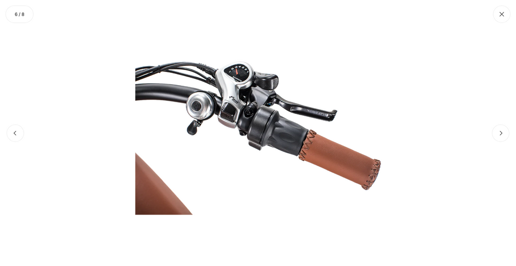 Gypsy Electric Bike - Wholesale Bundle of 5 | Premium Women's E-Bike Distributor Pricing