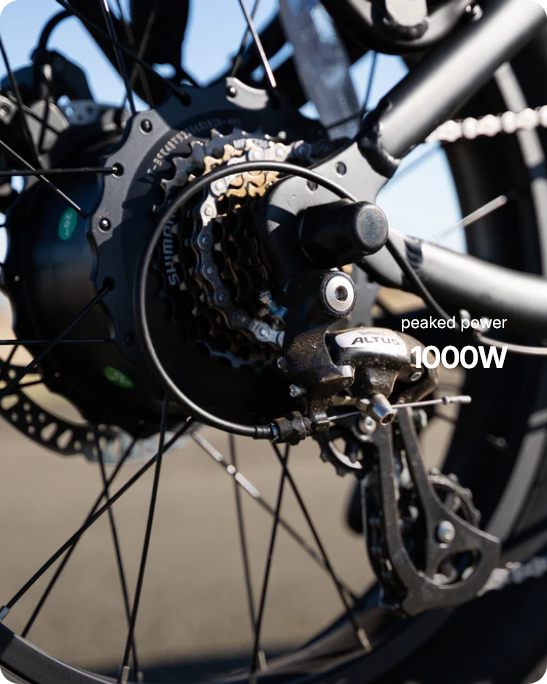 Rogue Electric Bike - Sample Unit | Premium E-Bike Wholesale Pricing