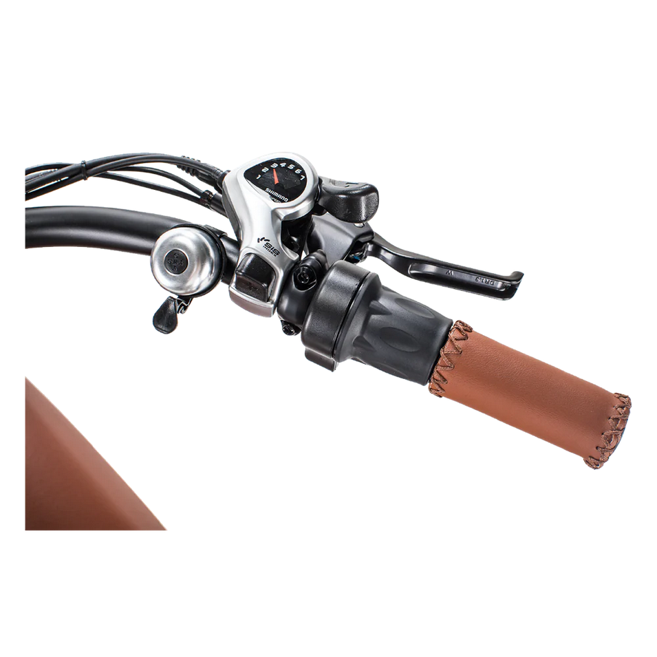 Rogue Electric Bike - Sample Unit | Premium E-Bike Wholesale Pricing