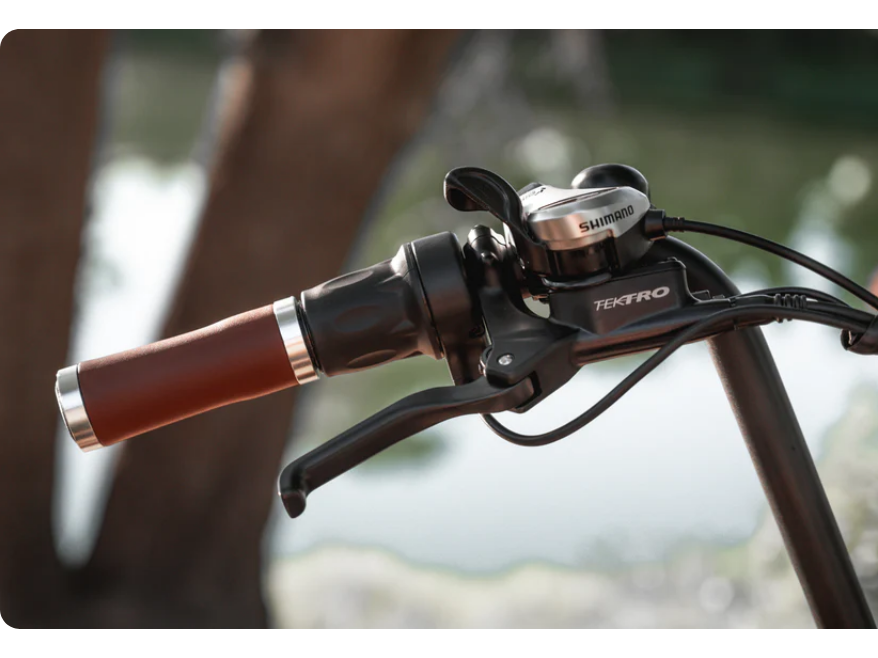 Zephyr Electric Bike - Sample Unit | Premium E-Bike Wholesale Pricing (Copy)