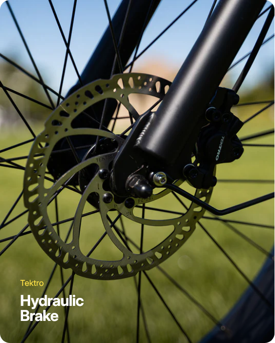 Rogue Electric Bike - Sample Unit | Premium E-Bike Wholesale Pricing