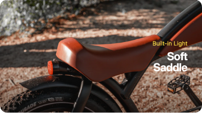 Zephyr Electric Bike - Sample Unit | Premium E-Bike Wholesale Pricing (Copy)